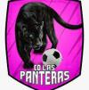 CD Las Panteras VS CD Comarca Rio Nacimiento (18:00 )